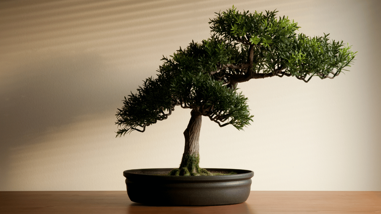 plantes artificielles bénéfices