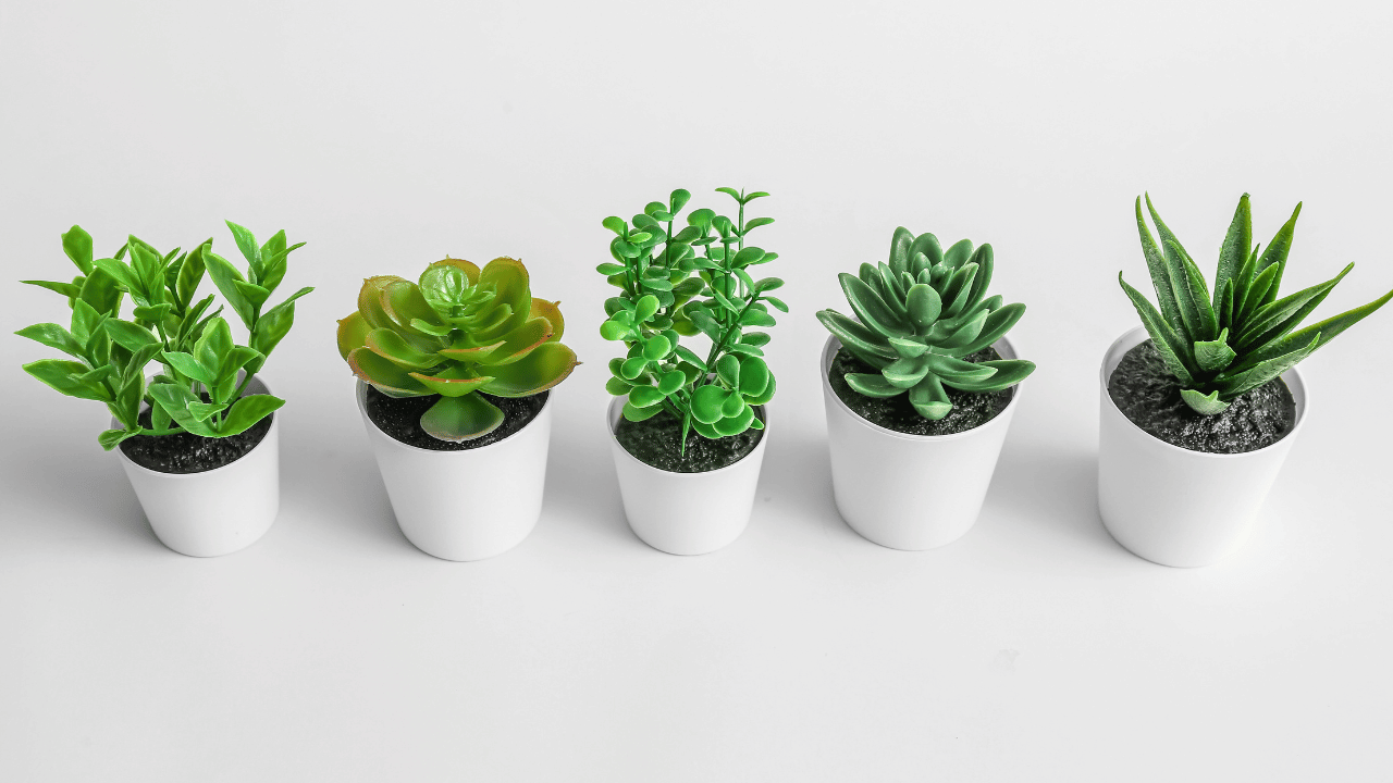 plantes artificielles bénéfices