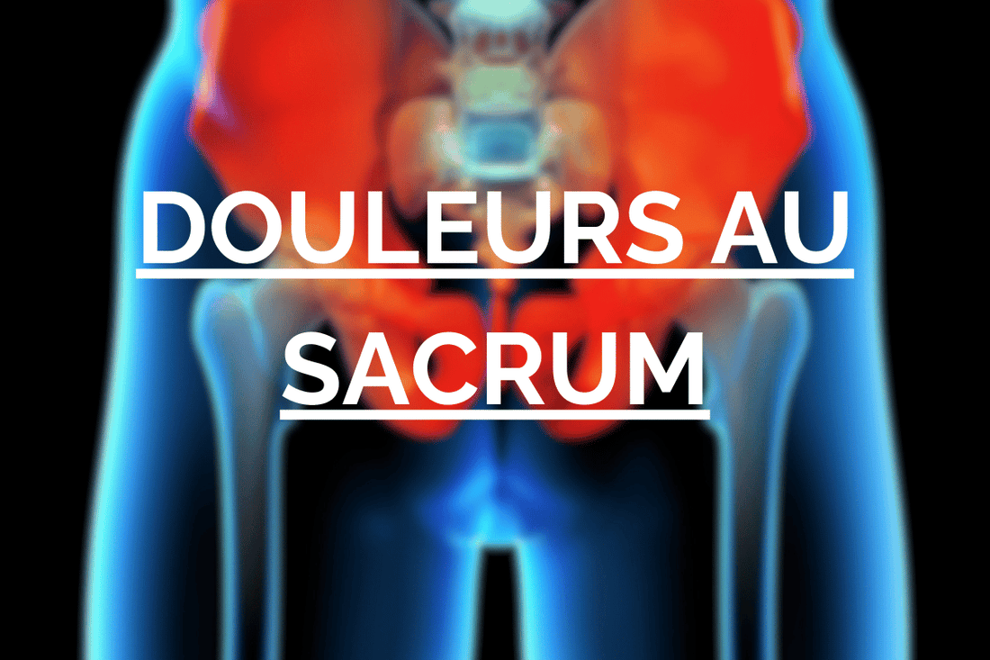 Schéma montrant le bassin du corps humain