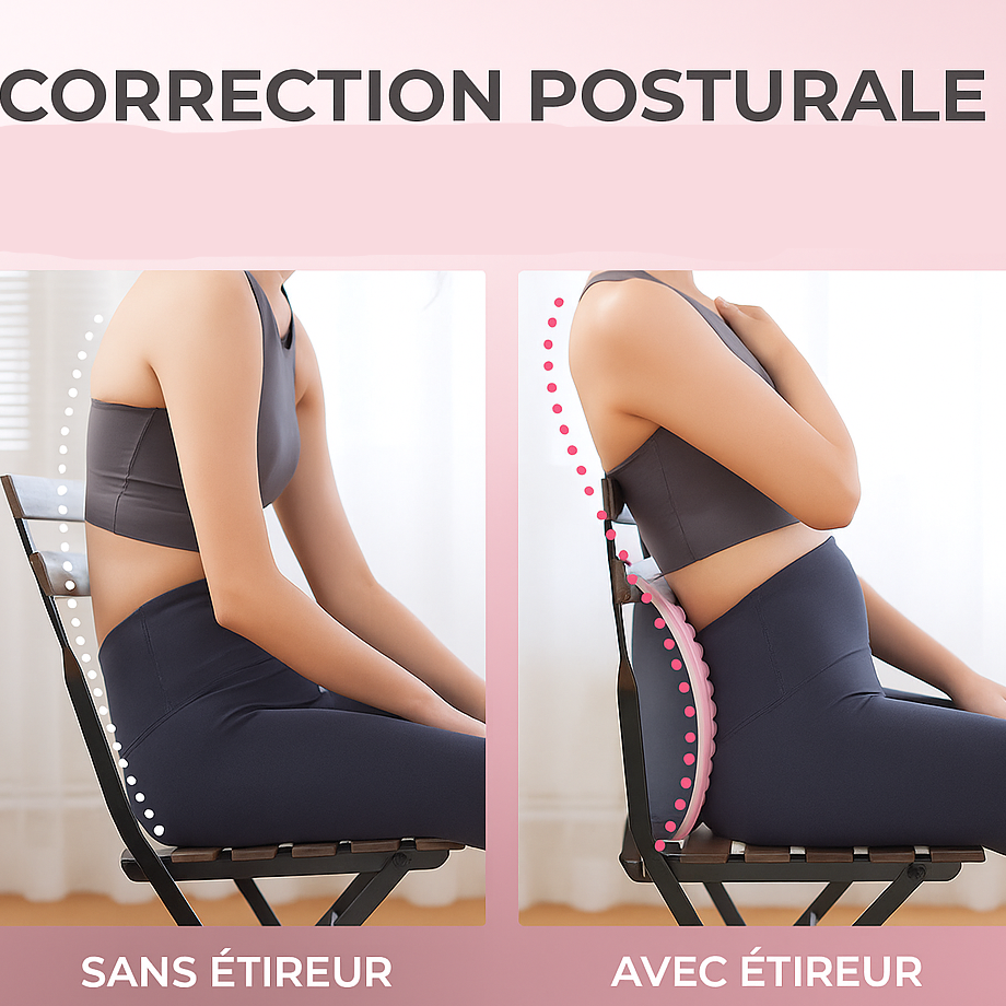 Coussin de Massage pour le Dos