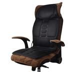 Coussin de Massage Shiatsu